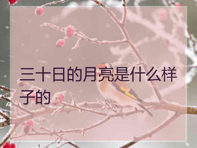 三十日的月亮是什么样子的