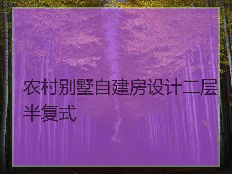 农村别墅自建房设计二层半复式