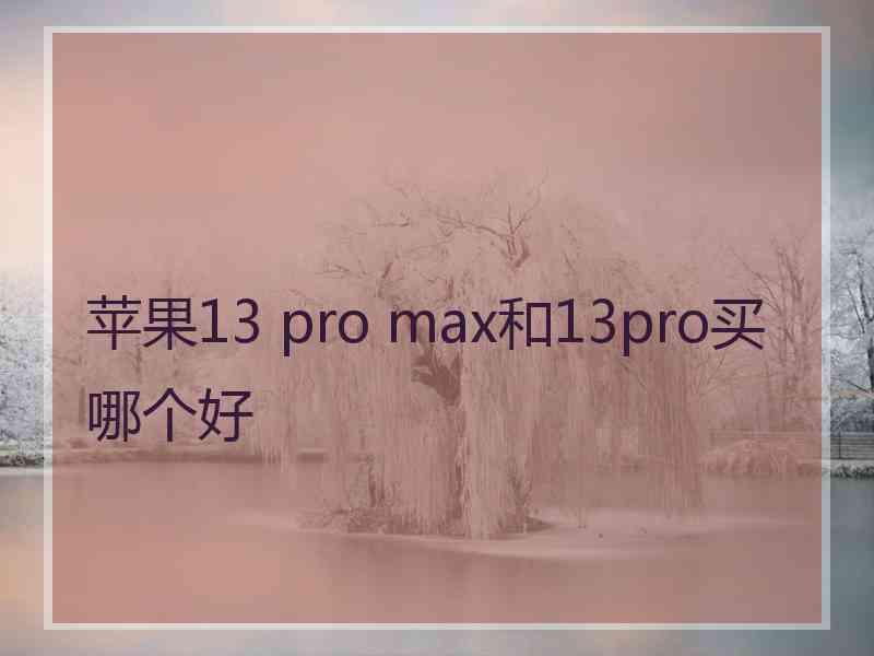 苹果13 pro max和13pro买哪个好