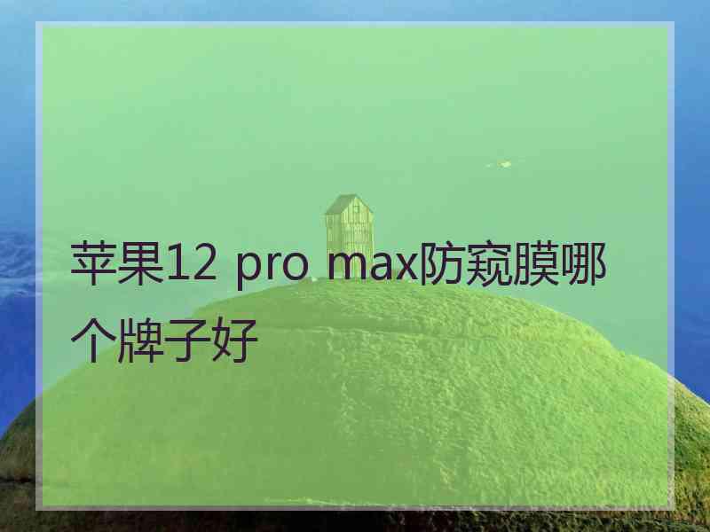 苹果12 pro max防窥膜哪个牌子好