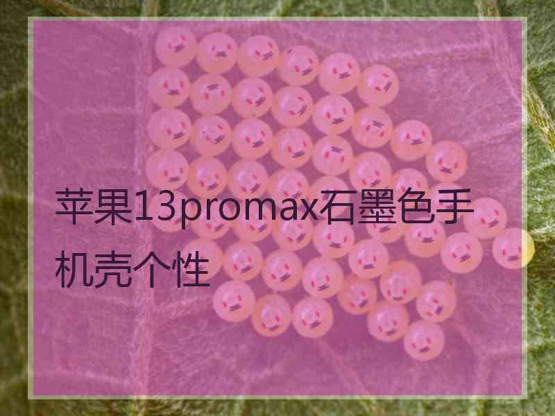 苹果13promax石墨色手机壳个性