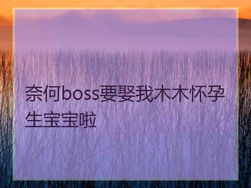 奈何boss要娶我木木怀孕生宝宝啦