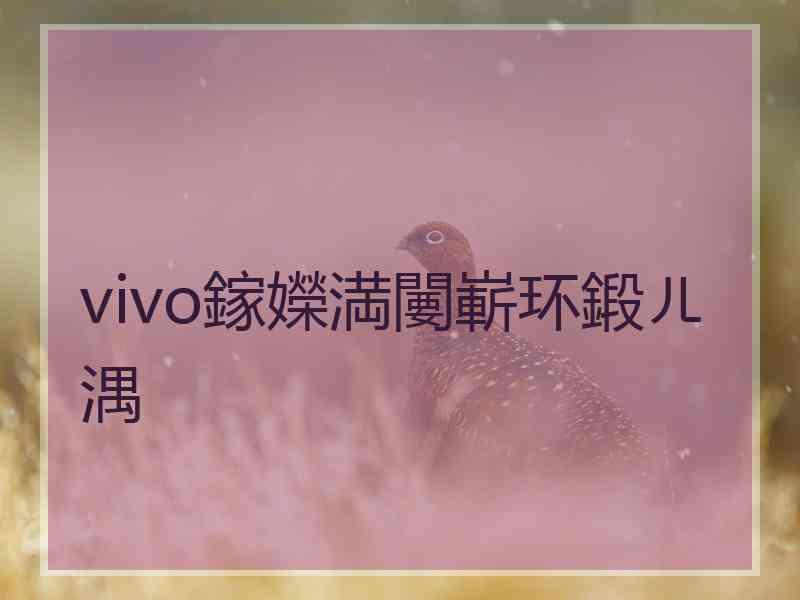 vivo鎵嬫満闄嶄环鍛ㄦ湡