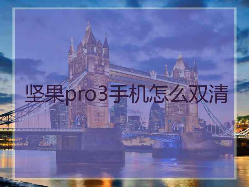 坚果pro3手机怎么双清