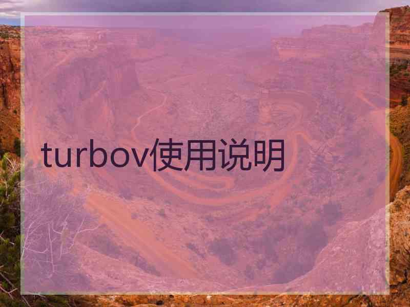 turbov使用说明