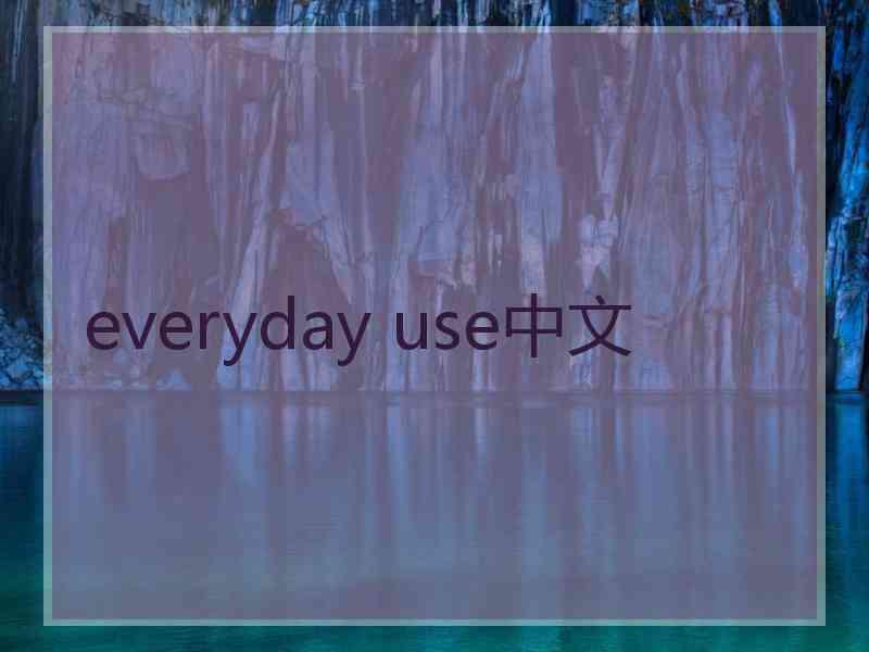 everyday use中文