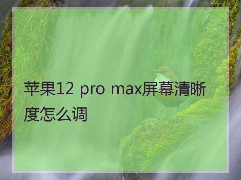 苹果12 pro max屏幕清晰度怎么调