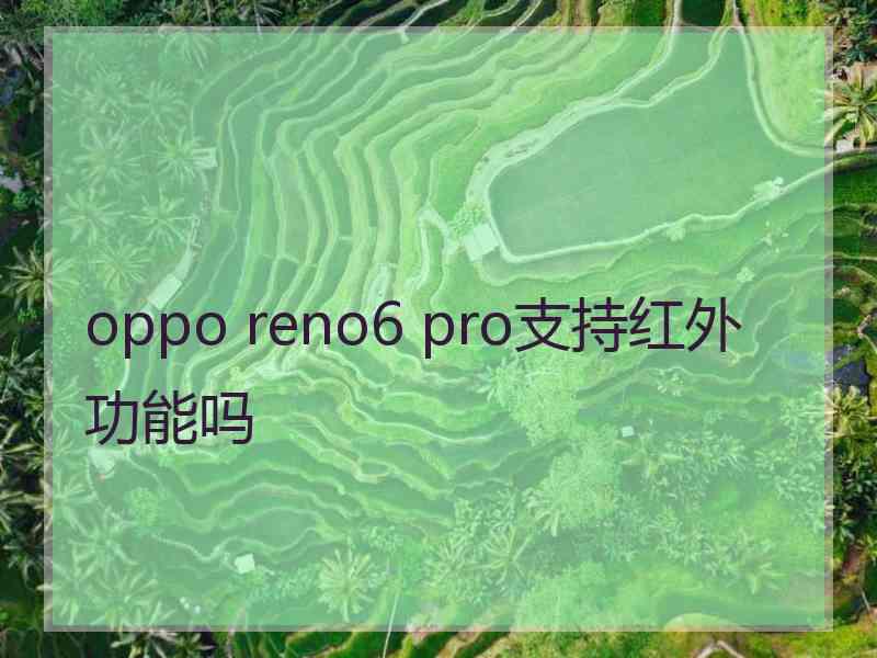 oppo reno6 pro支持红外功能吗