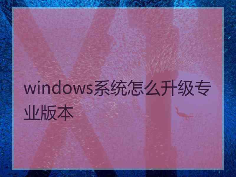 windows系统怎么升级专业版本