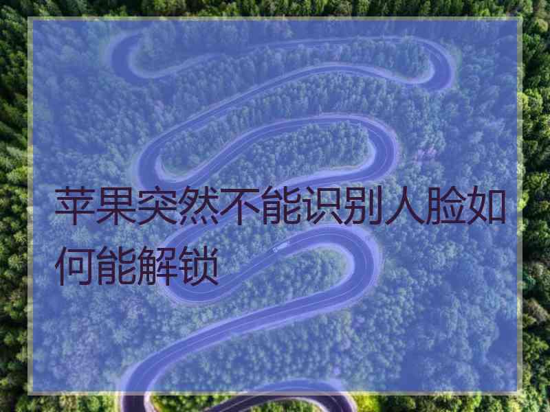 苹果突然不能识别人脸如何能解锁