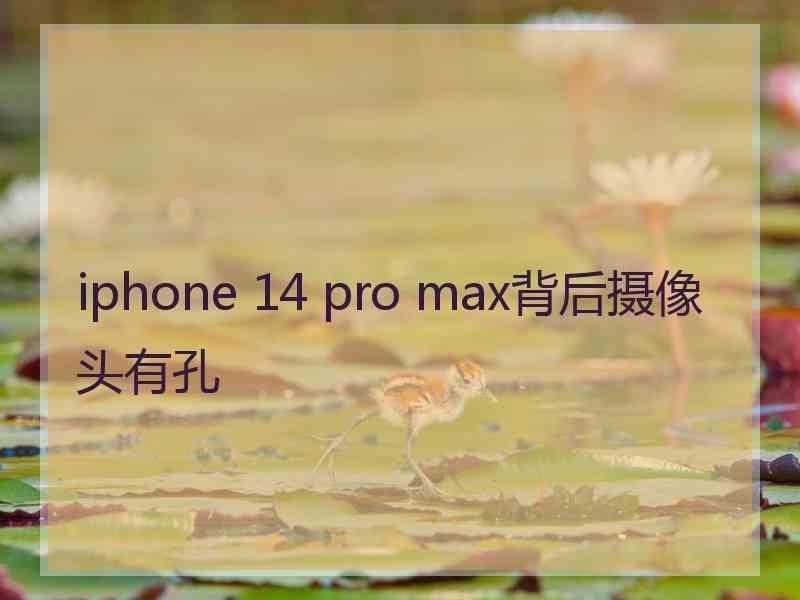 iphone 14 pro max背后摄像头有孔