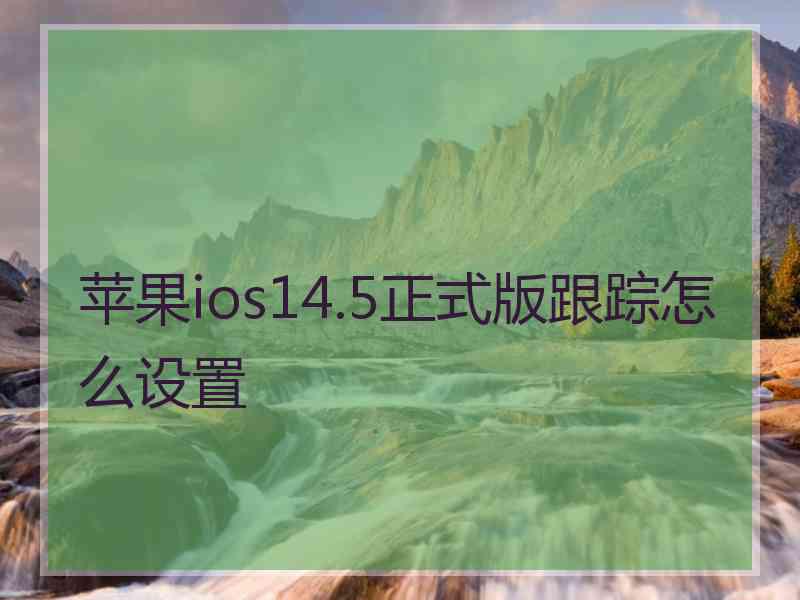 苹果ios14.5正式版跟踪怎么设置