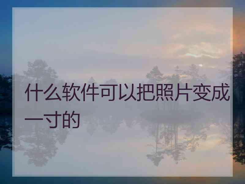 什么软件可以把照片变成一寸的