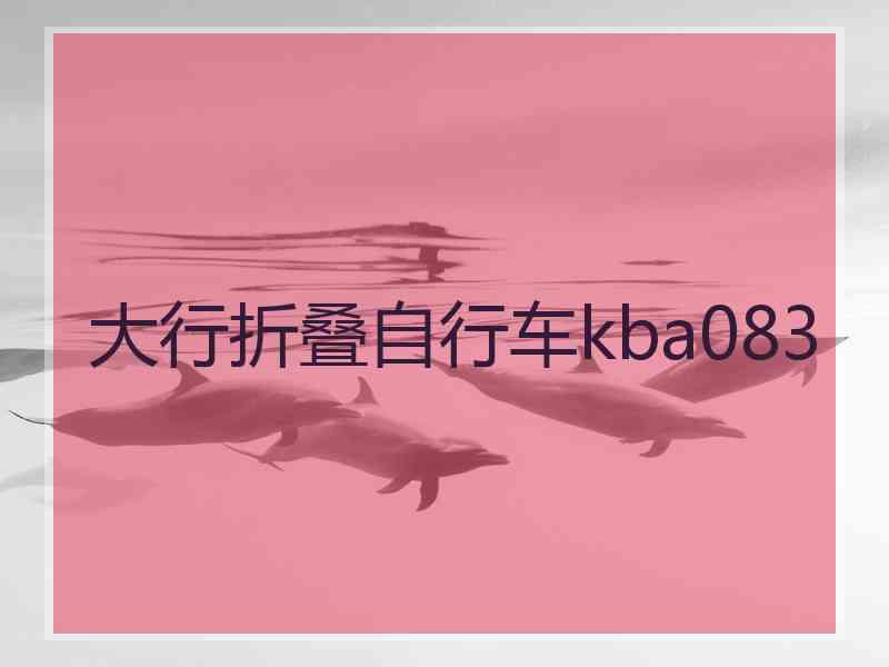 大行折叠自行车kba083