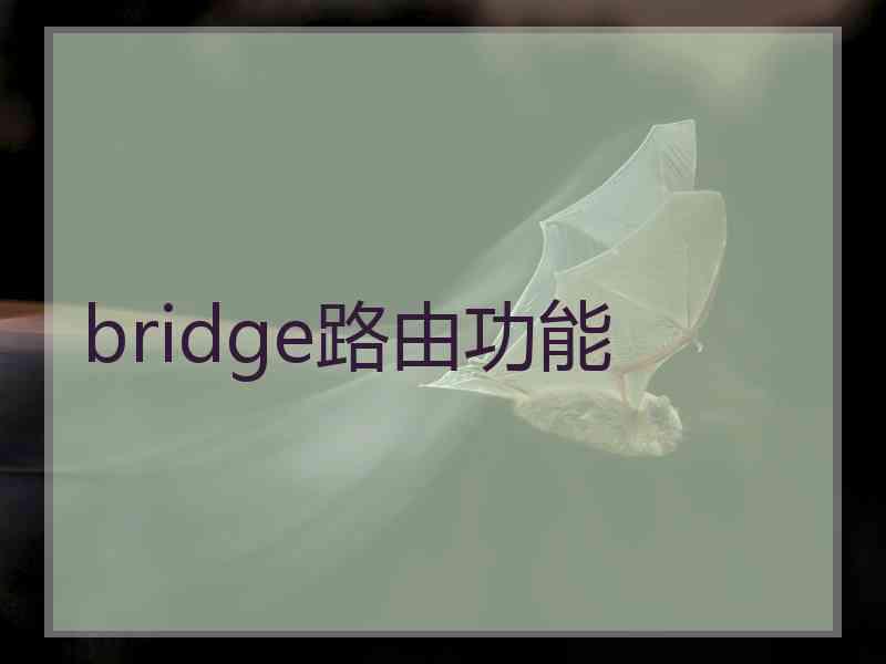 bridge路由功能