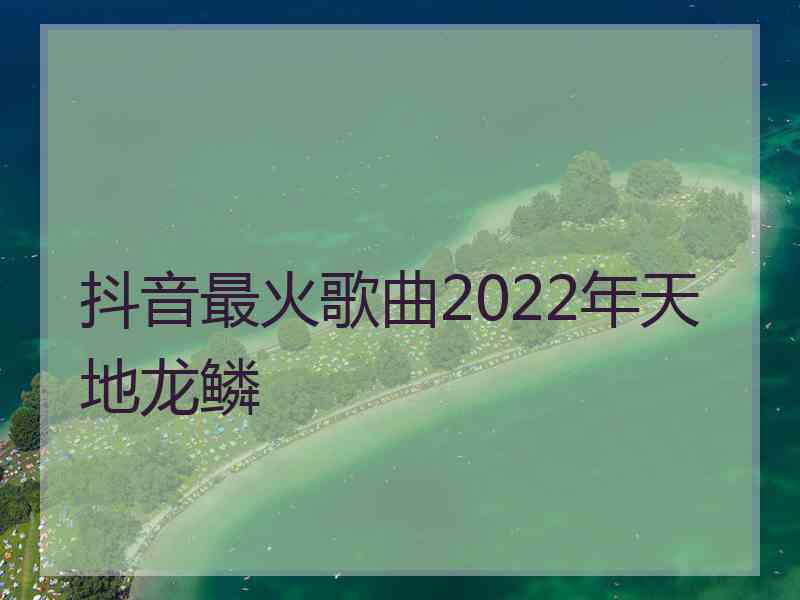 抖音最火歌曲2022年天地龙鳞