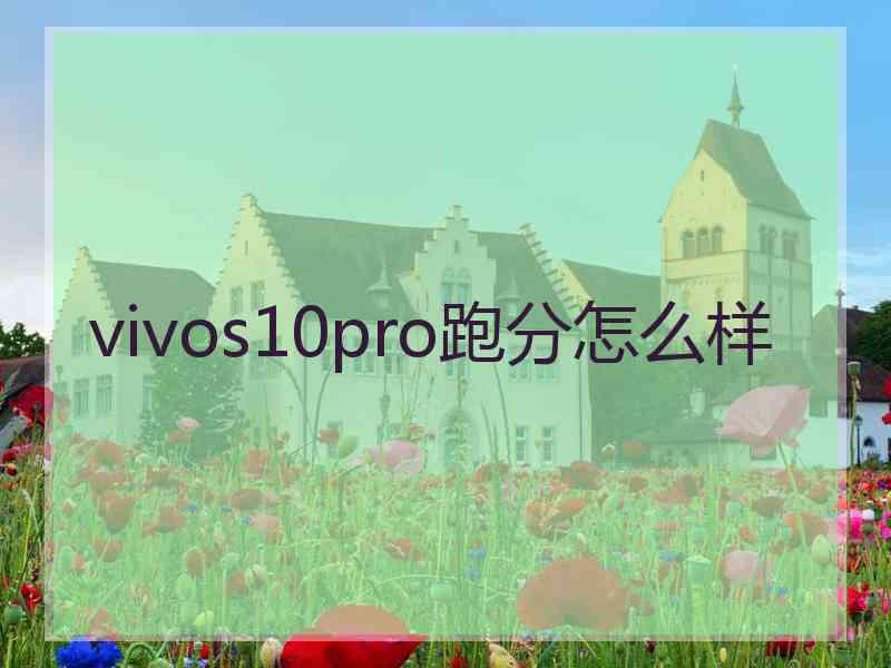 vivos10pro跑分怎么样