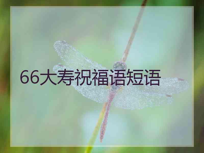 66大寿祝福语短语