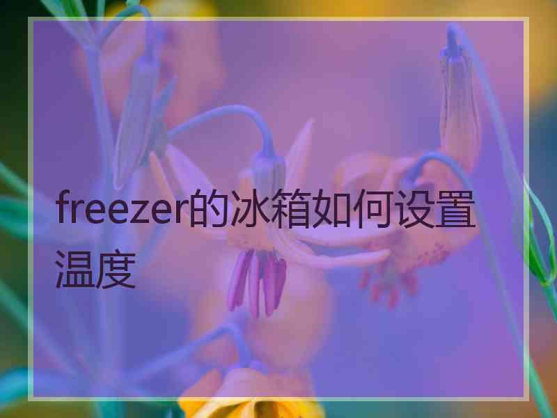 freezer的冰箱如何设置温度