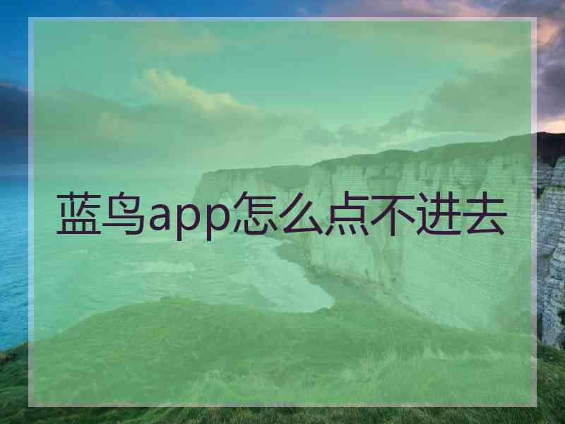 蓝鸟app怎么点不进去