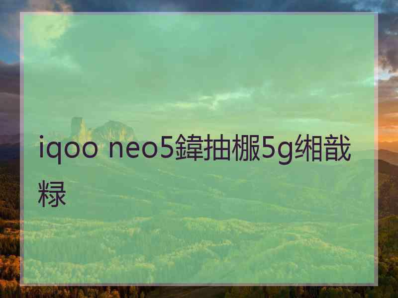 iqoo neo5鍏抽棴5g缃戠粶