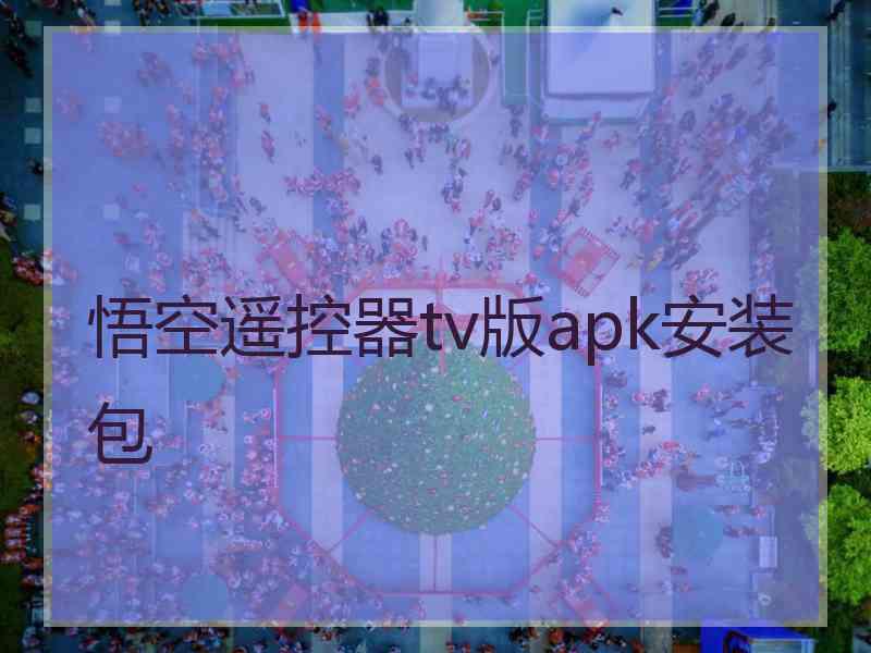 悟空遥控器tv版apk安装包