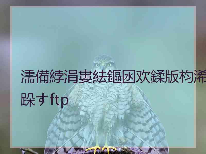 濡備綍涓婁紶鏂囦欢鍒版枃浠跺すftp