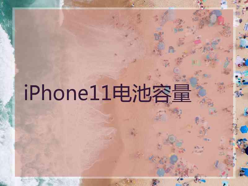 iPhone11电池容量