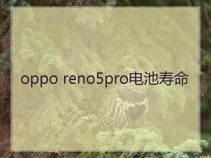 oppo reno5pro电池寿命