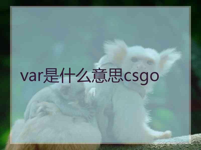 var是什么意思csgo