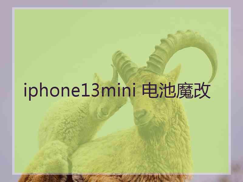 iphone13mini 电池魔改