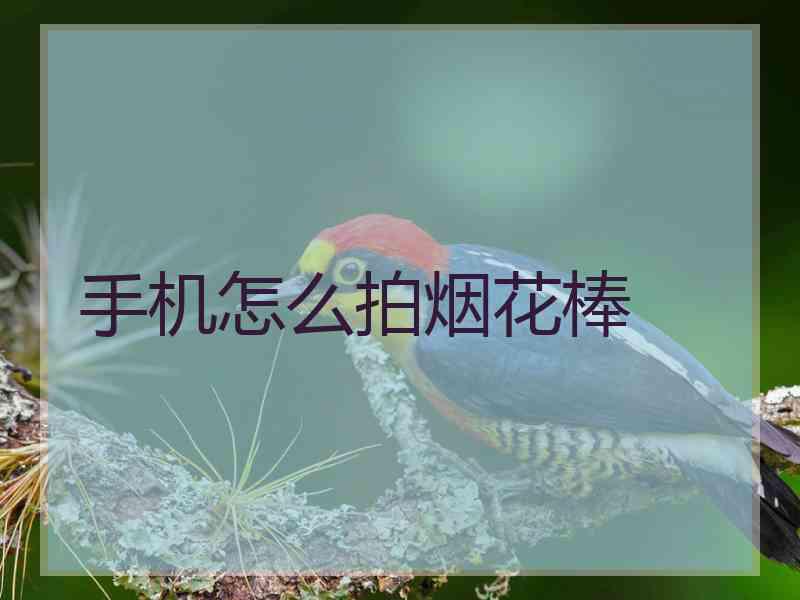 手机怎么拍烟花棒