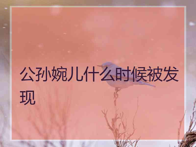 公孙婉儿什么时候被发现