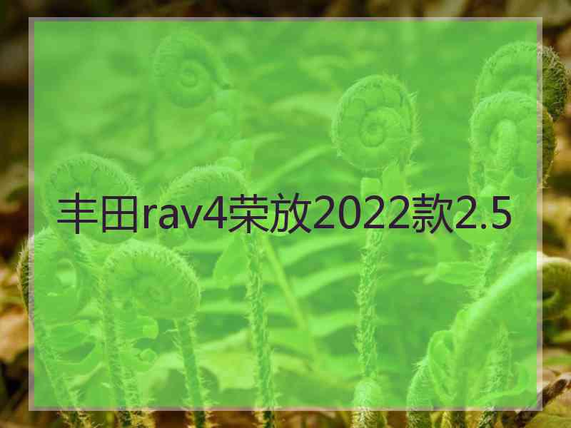 丰田rav4荣放2022款2.5