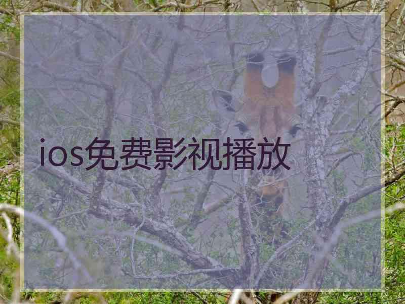 ios免费影视播放