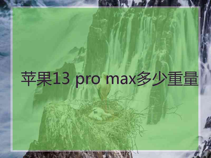 苹果13 pro max多少重量