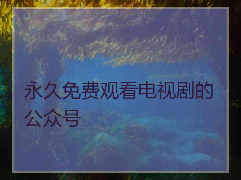 永久免费观看电视剧的公众号