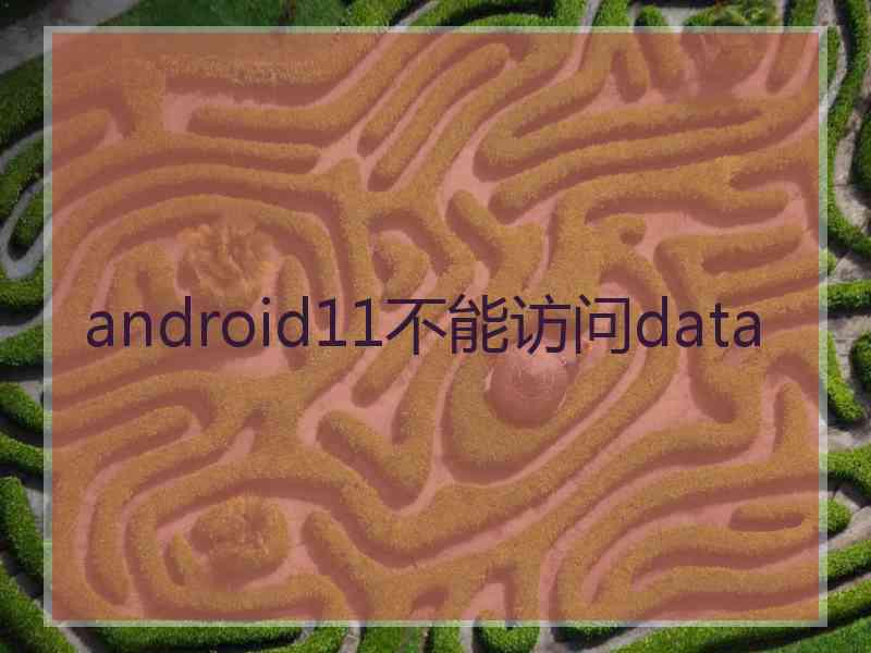 android11不能访问data