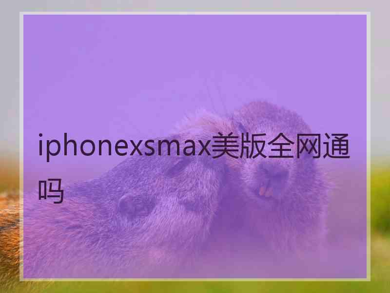 iphonexsmax美版全网通吗