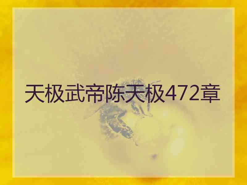 天极武帝陈天极472章