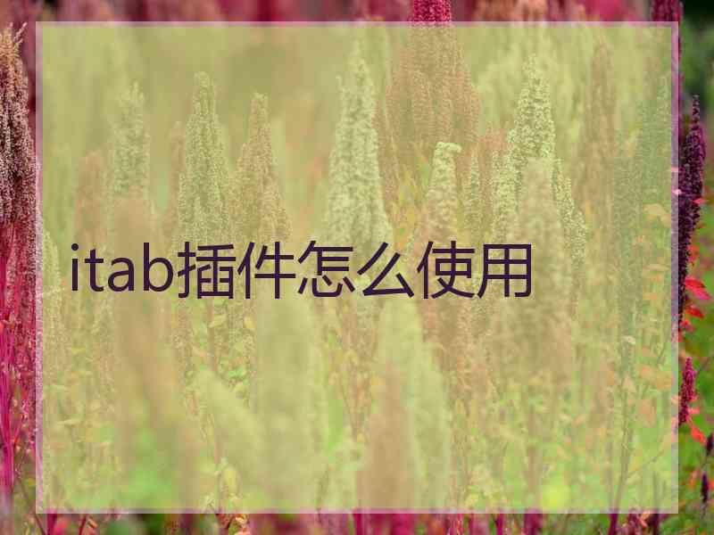 itab插件怎么使用