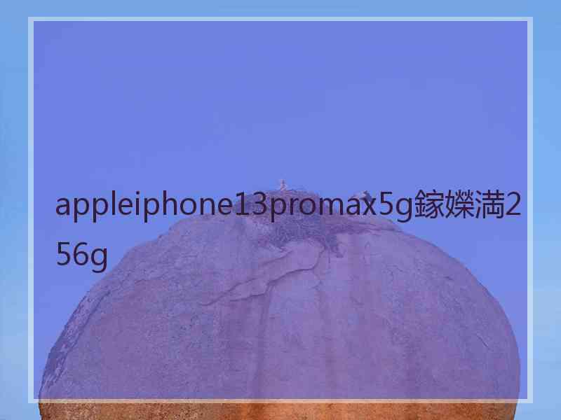 appleiphone13promax5g鎵嬫満256g