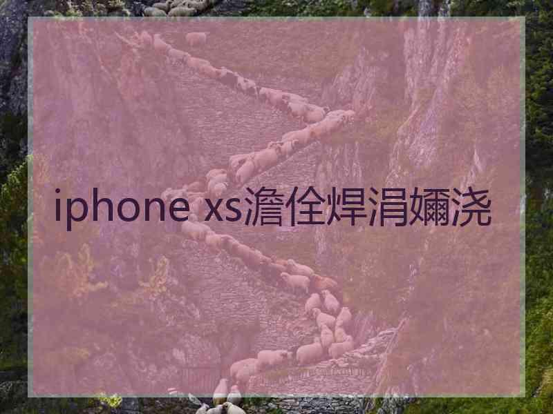 iphone xs澹佺焊涓嬭浇