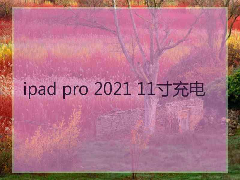 ipad pro 2021 11寸充电