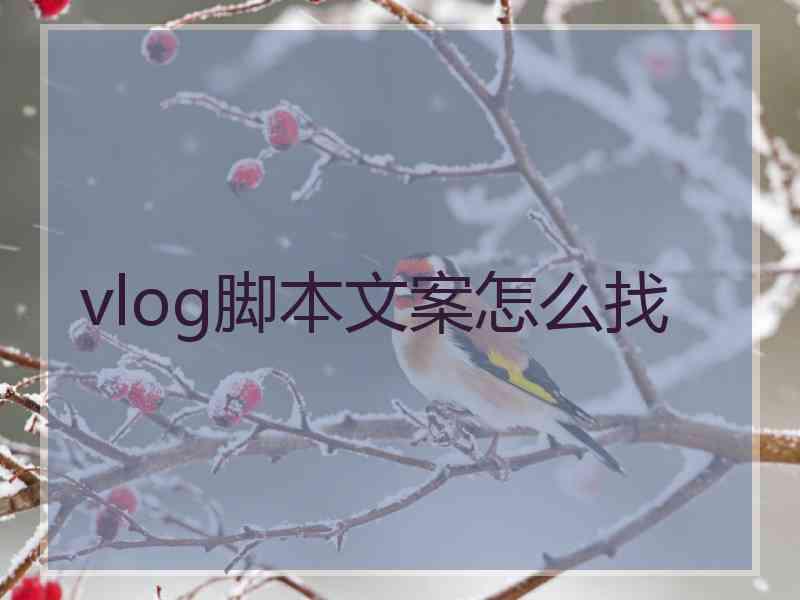 vlog脚本文案怎么找