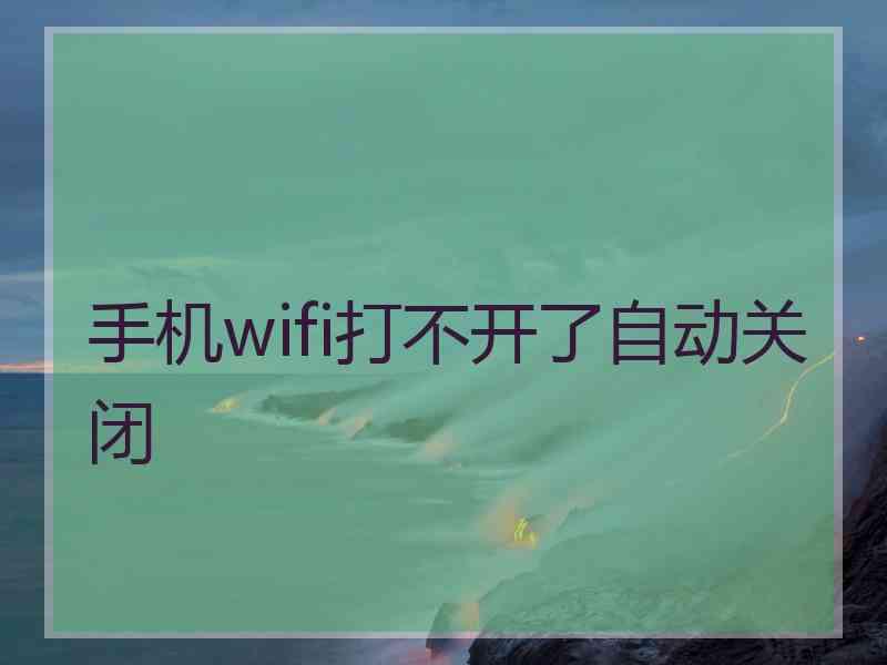 手机wifi打不开了自动关闭