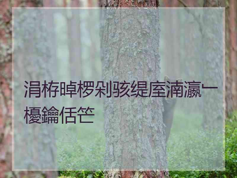 涓栫晫椤剁骇缇庢湳瀛﹂櫌鑰佸笀