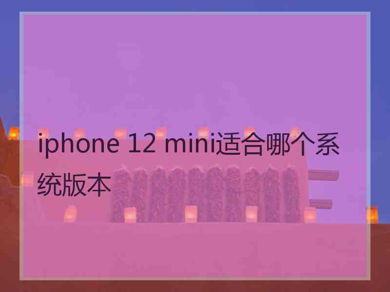 iphone 12 mini适合哪个系统版本