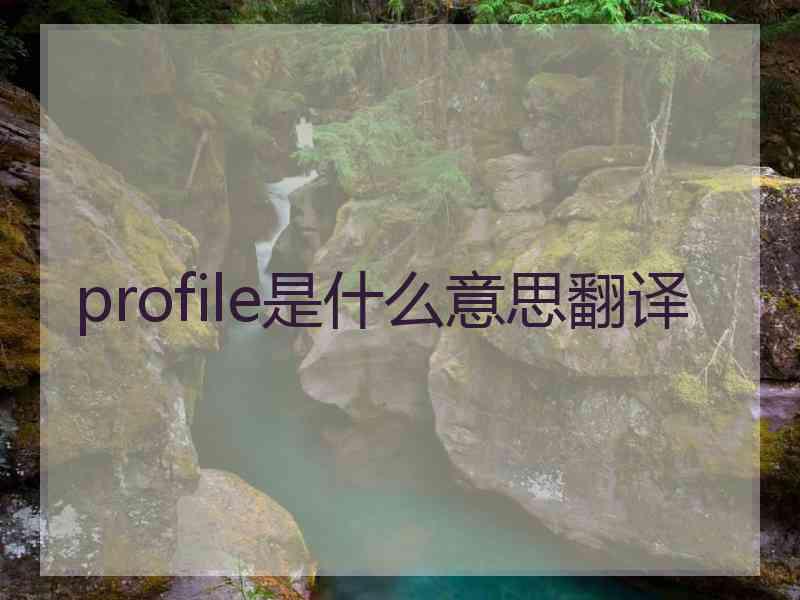 profile是什么意思翻译