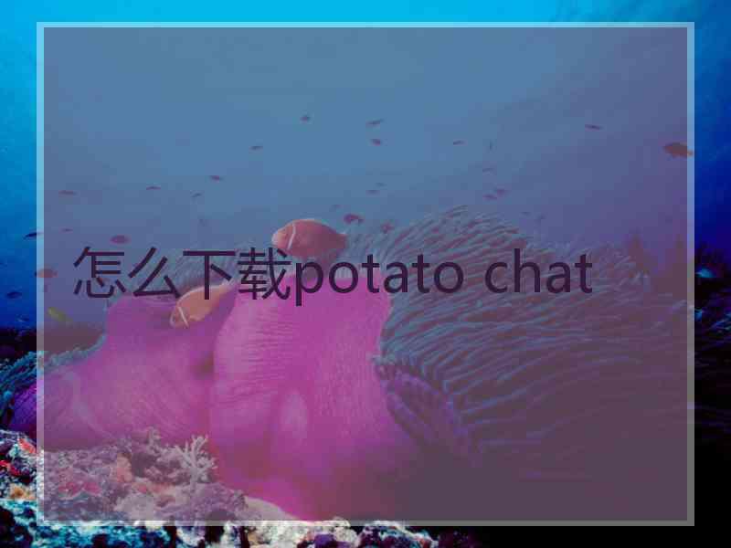 怎么下载potato chat